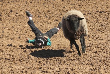 la fiesta de los vaqueros junior rodeo
