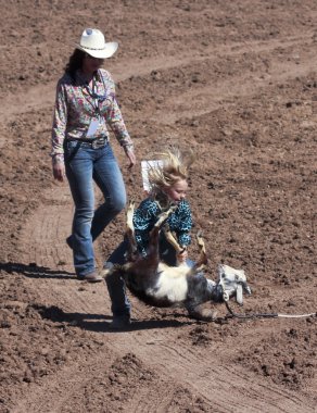 la fiesta de los vaqueros junior rodeo