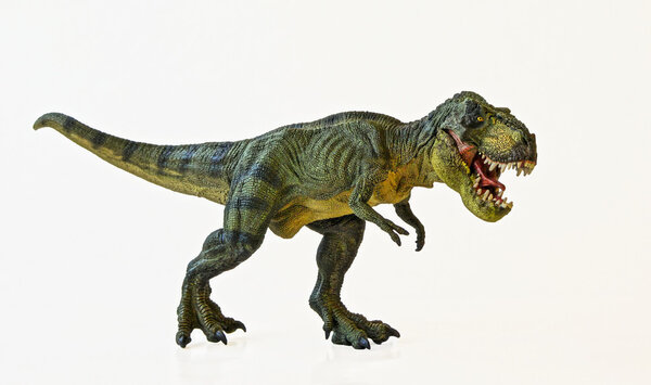Un tiranosaurio caza sobre un fondo blanco — Foto de Stock