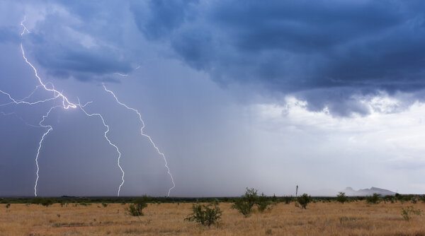 Муссонный шторм движется по пустыне
