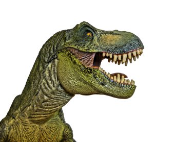 beyaz zemin üzerinde bir tyrannosaurus AVI 