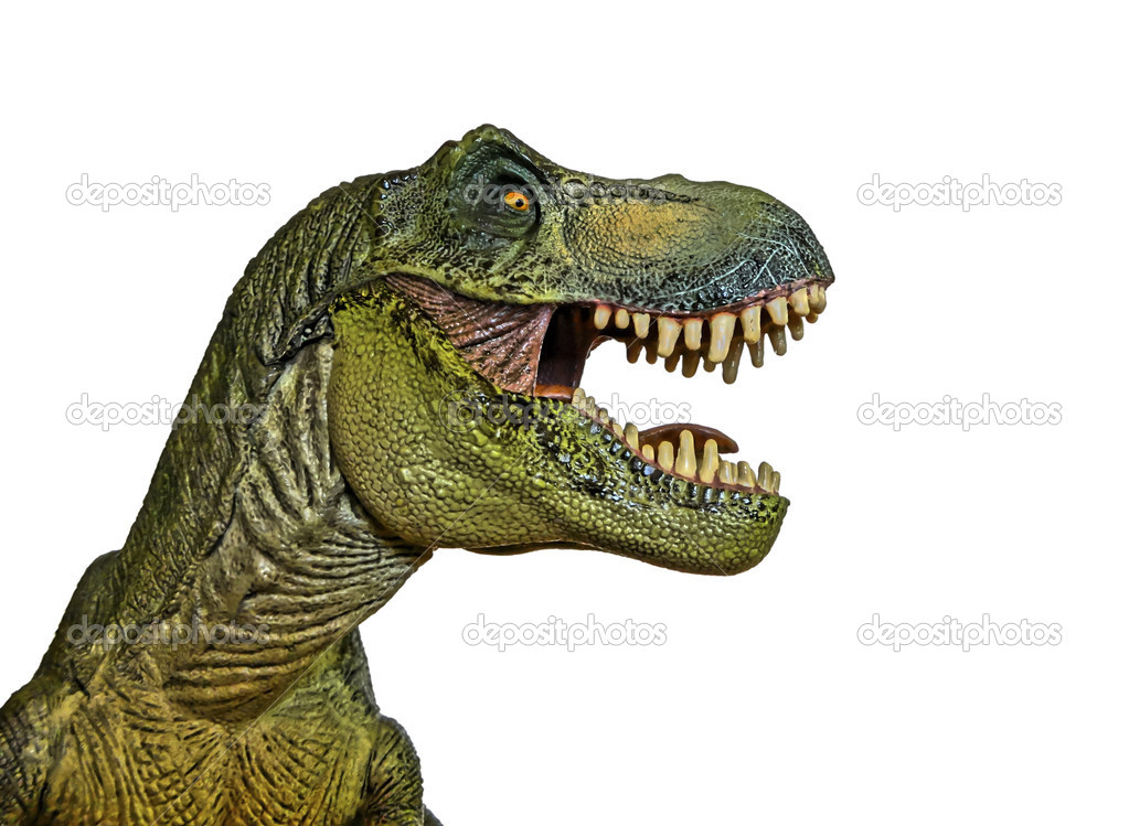 A Tyrannosaurus Hunts on a White Background 