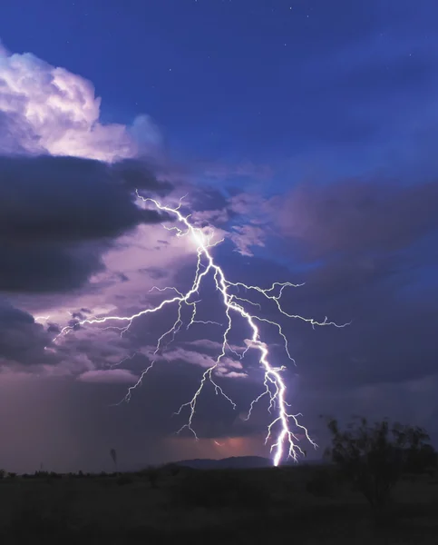 Un fulmine nella notte del deserto — Foto Stock