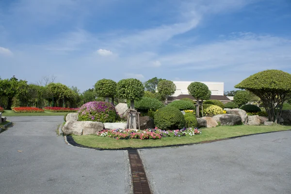 Schöner Garten — Stockfoto