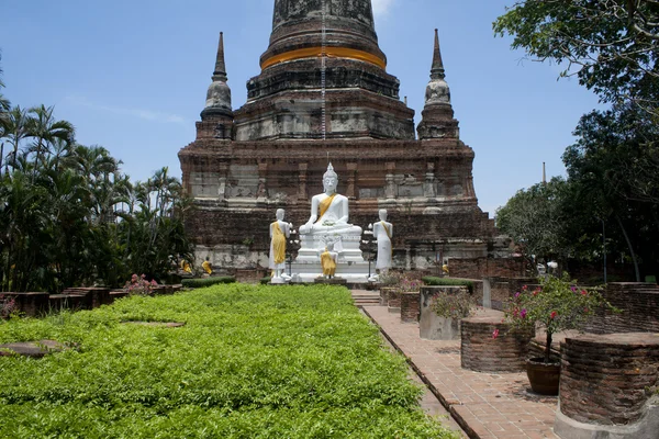 El estatus de Buda de wat yaichaimongkon en la provincia de ayuttaya, Tailandia —  Fotos de Stock