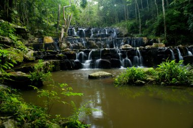 derin orman şelaleler