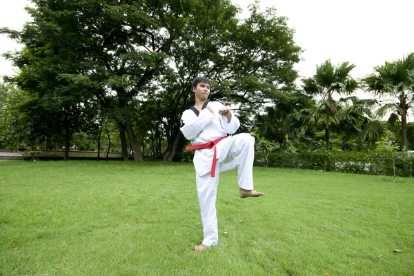 Pria Asia bermain dengan taekwondo — Stok Foto