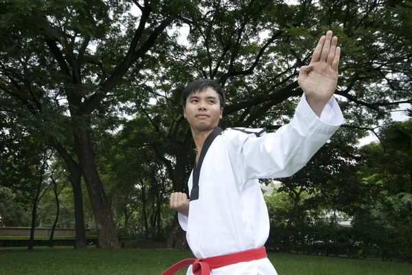 Asiatico uomo giocare con taekwondo — Foto Stock