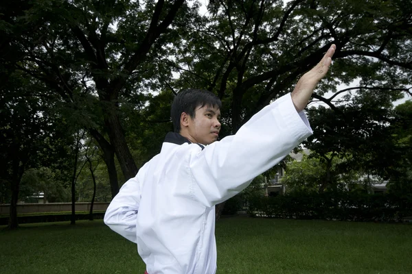 Asiatischer Mann spielt mit Taekwondo — Stockfoto