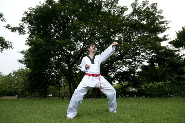 Ásia homem jogar com taekwondo — Fotografia de Stock