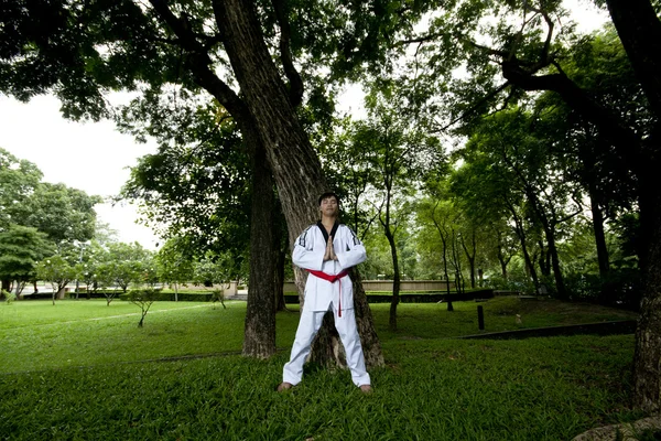 Ázsiai férfi játszik taekwondo — Stock Fotó