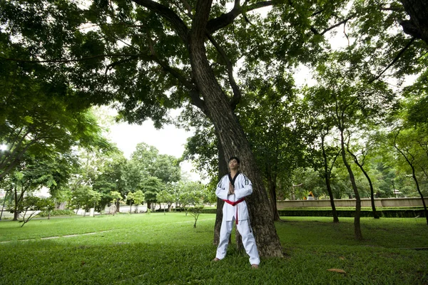 Ásia homem jogar com taekwondo — Fotografia de Stock