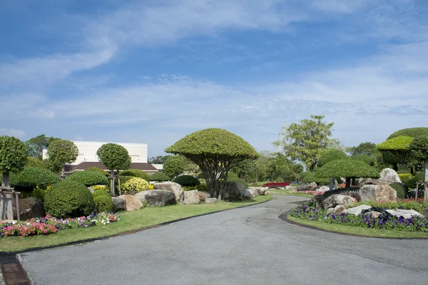 Schöner Garten — Stockfoto