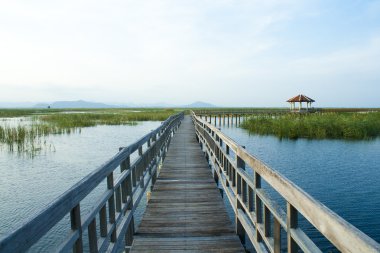ahşap köprü lotus Gölü khao sam ROI yod Milli Park, Tayland