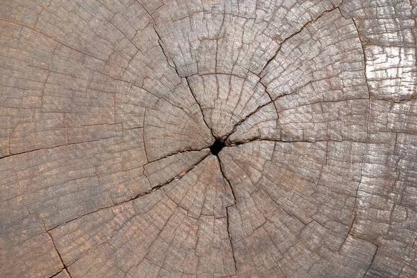 Grunge de textura madera materiales fondo — Foto de Stock
