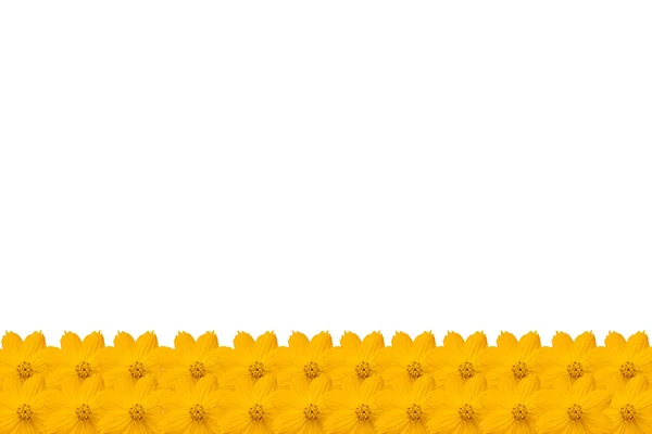 Cadre fleuri avec fleurs jaunes — Photo