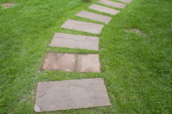 Chemin de pierre dans l'herbe verte — Photo