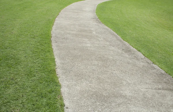 Chemin de pierre dans l'herbe verte . — Photo