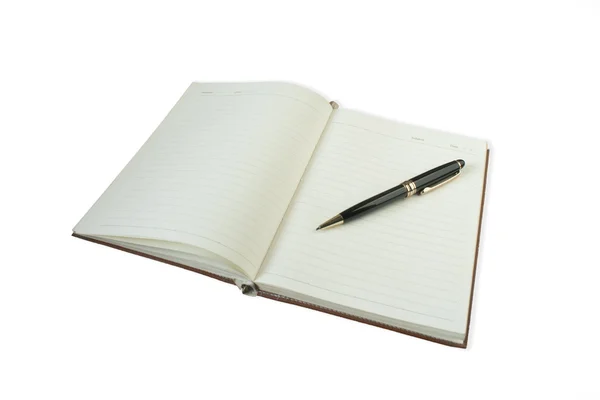 kalemle açık kitap