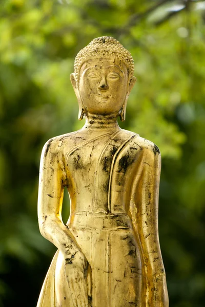 Goldene Buddha-Statue — Stockfoto