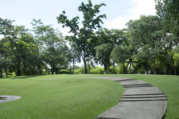 Chemin vers les arbres dans un parc — Photo