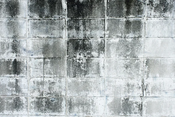 Leeftijd, Super grunge betonnen muur in koude, donkere kleurtinten Rechtenvrije Stockafbeeldingen