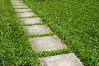 taş yol yeşil çimen.