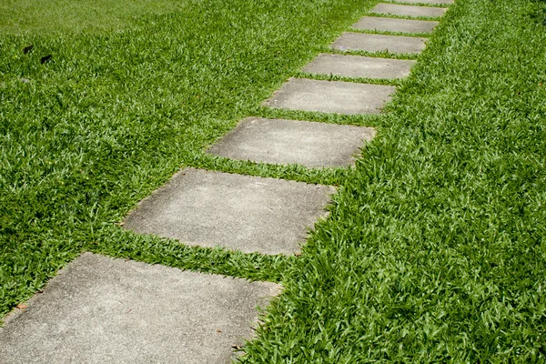 Chemin de pierre dans l'herbe verte . — Photo