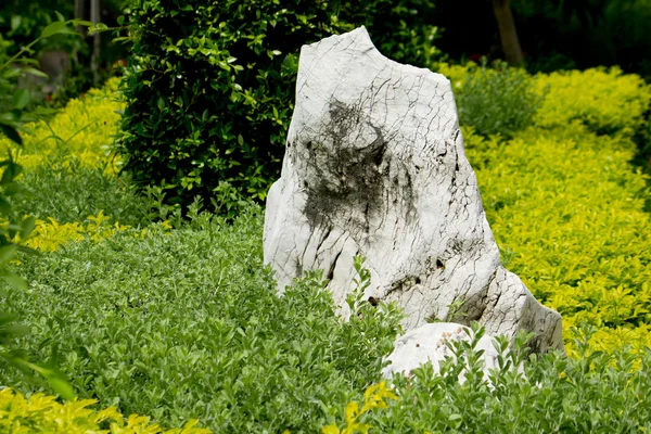 Stein im Garten — Stockfoto