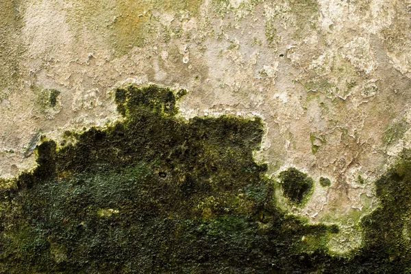 Grunge τοίχο — Φωτογραφία Αρχείου