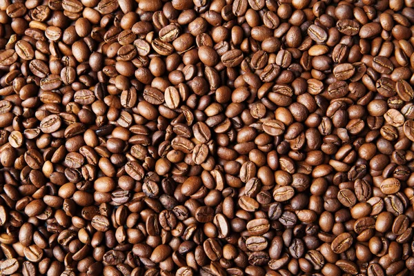 Kahve çekirdekleri