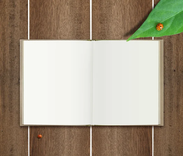 Livro sobre madeira com folha e joaninha — Fotografia de Stock
