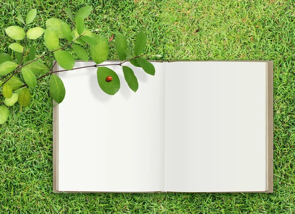 Livro aberto na grama sob folha e ladybud — Fotografia de Stock