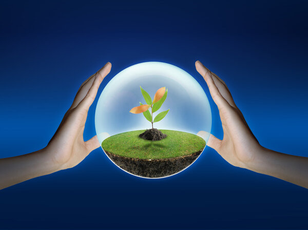 Человеческая рука спасает природу
