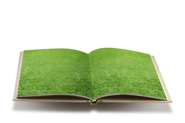 Libro abierto con hierba verde sobre fondo blanco — Foto de Stock