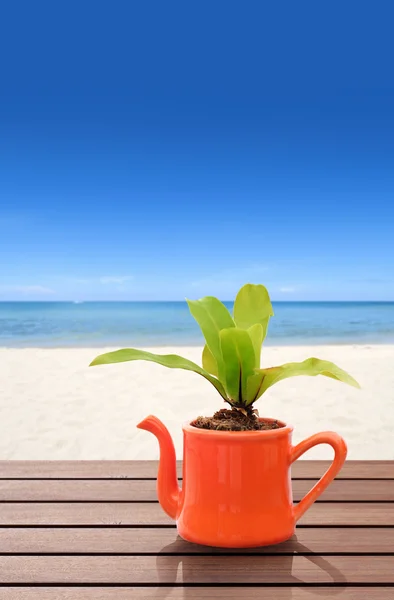 Orange tekanna på stranden — Stockfoto