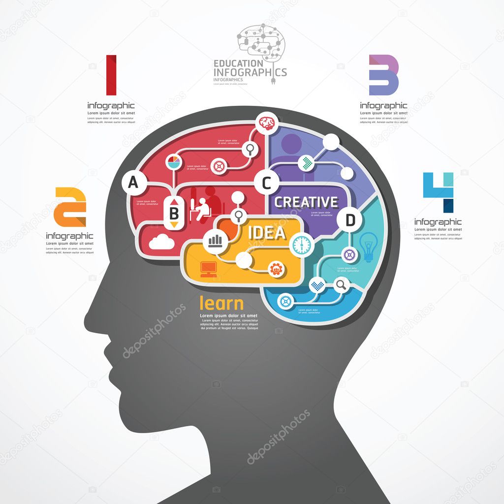 Infographic Template brain social line link concept
