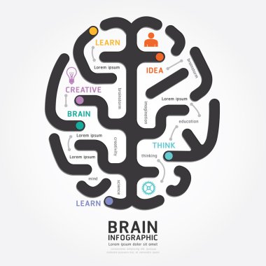 Infographics brain design clipart