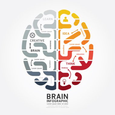 Brain design diagram