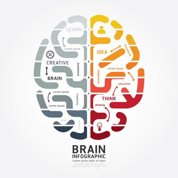 Hersenen ontwerp diagram — Stockvector