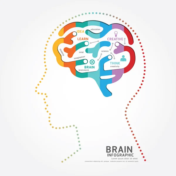 Σχέδιο διάγραμμα του εγκεφάλου — Διανυσματικό Αρχείο