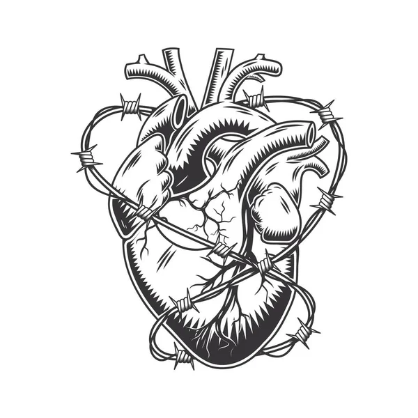 Corazón Alambre Púas Anatómicamente Dibujado Mano Arte Línea Vintage Flash — Vector de stock