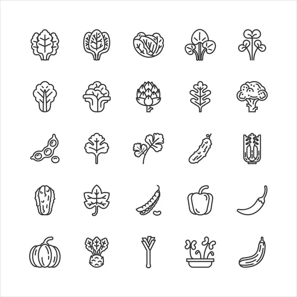 Paquete Colección Iconos Línea Plana Vegetal Verde Diseño Simple Vector — Vector de stock