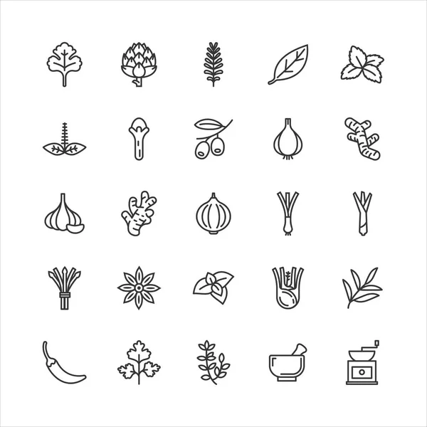 Bundle Spices Condiments Herbs Flat Line Icons Collection Simple Design — Stock Vector