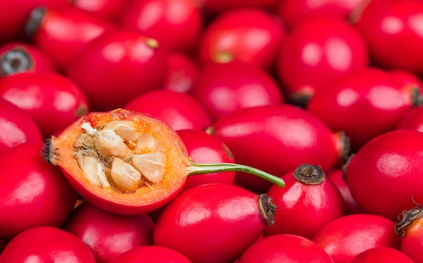 Rose Hip Pół Rdzeniem Owłosione Nasiona Słodkiej Miąższu Czerwonych Owoców — Zdjęcie stockowe