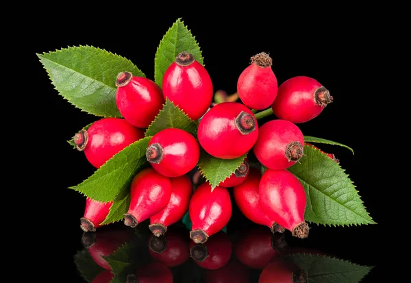 Red Rose Hip Group Green Leaves Black Background Beautiful Reflection — Stock Photo, Image