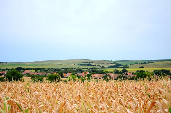 Çek kırsal manzara