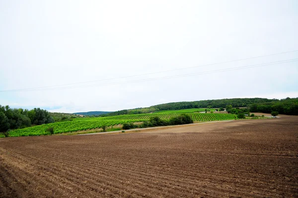 Çek kırsal manzara