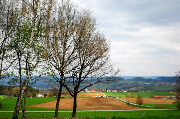 Niemiecki wiejski krajobraz — Zdjęcie stockowe