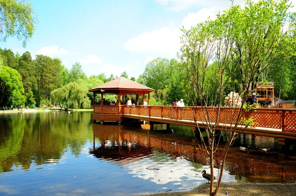 Lago en Novosibirsk zoológico Imagen de archivo